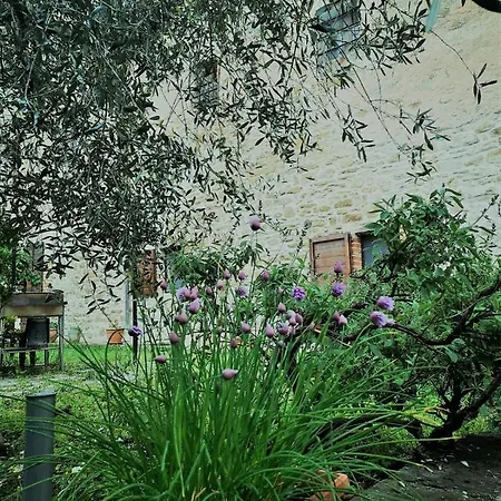 La Grotta Etrusca Guests House *